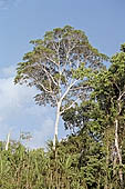 Canoe journey down the rivers of the Madre de Dios department in the Manu reserve 